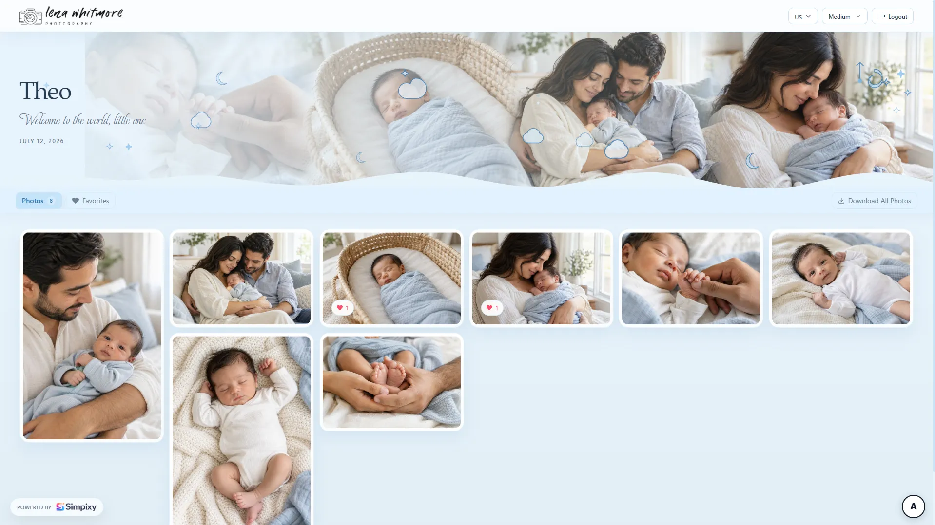 Baby boy newborn gallery theme preview