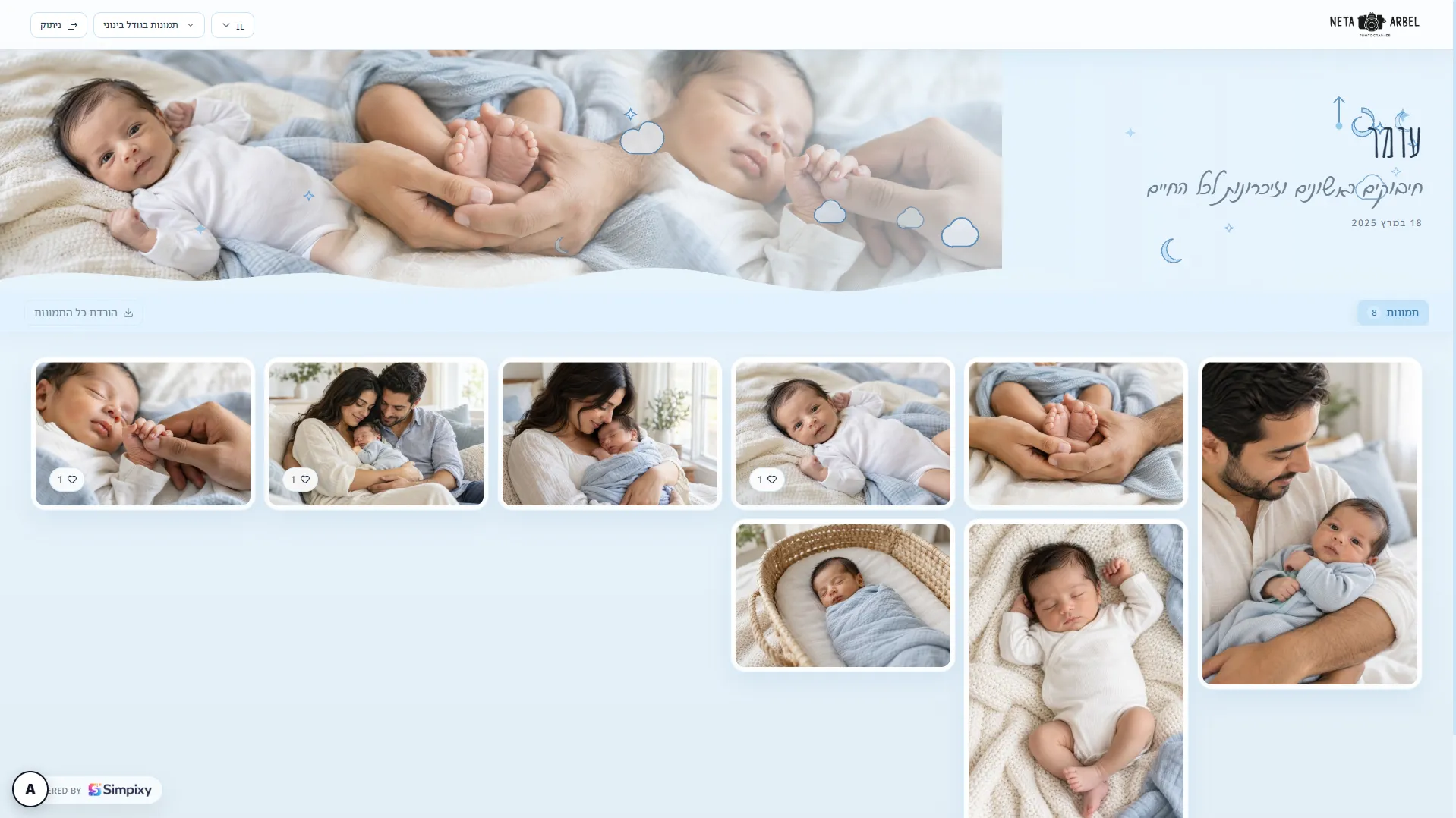 Baby boy newborn gallery theme preview