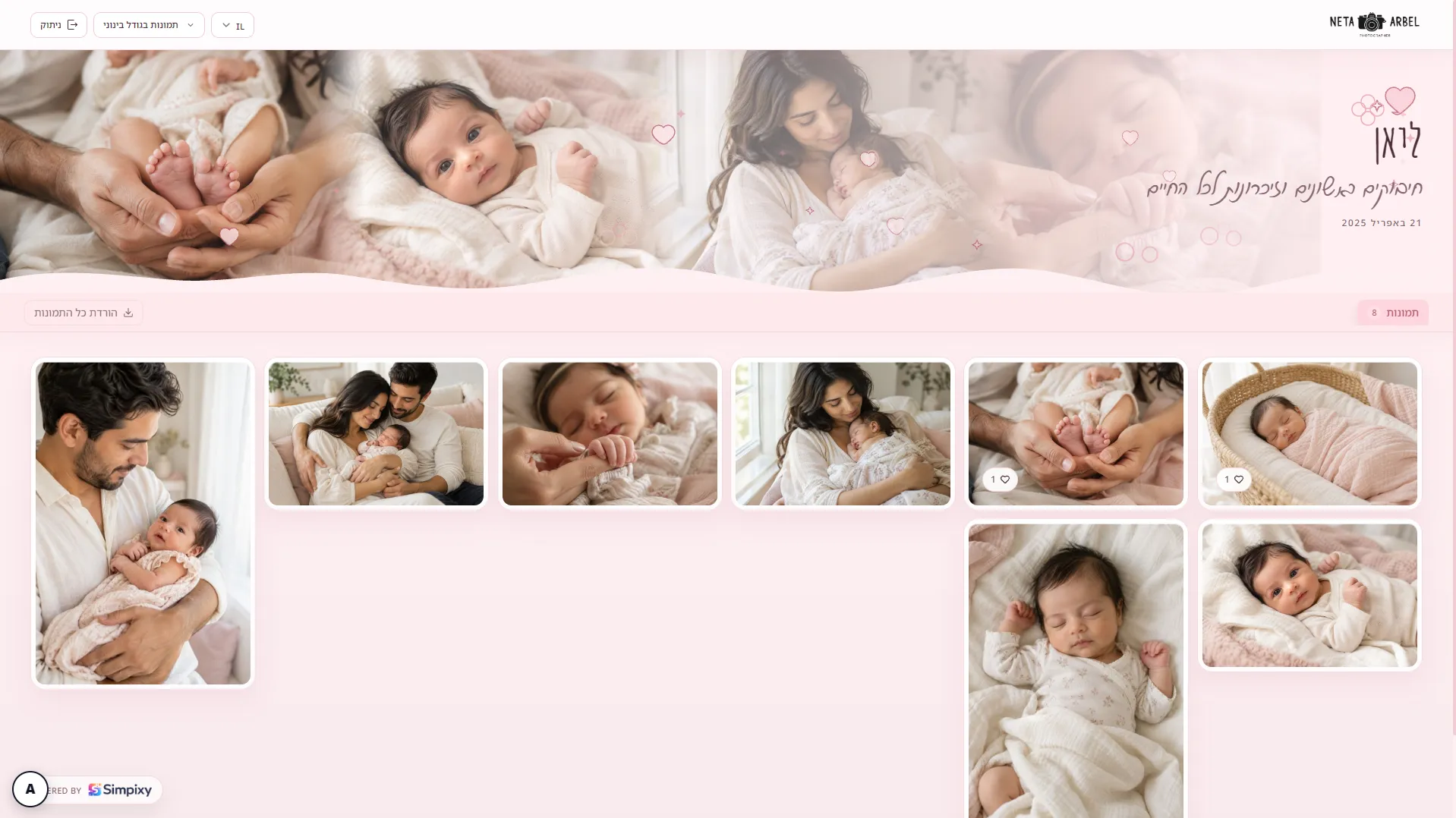 Baby girl newborn gallery theme preview